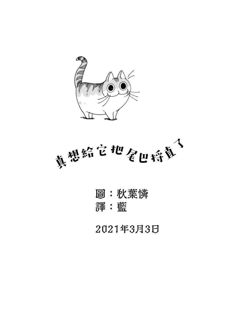 第47话-关于养猫我一直是新手-キュルZ（第4张）